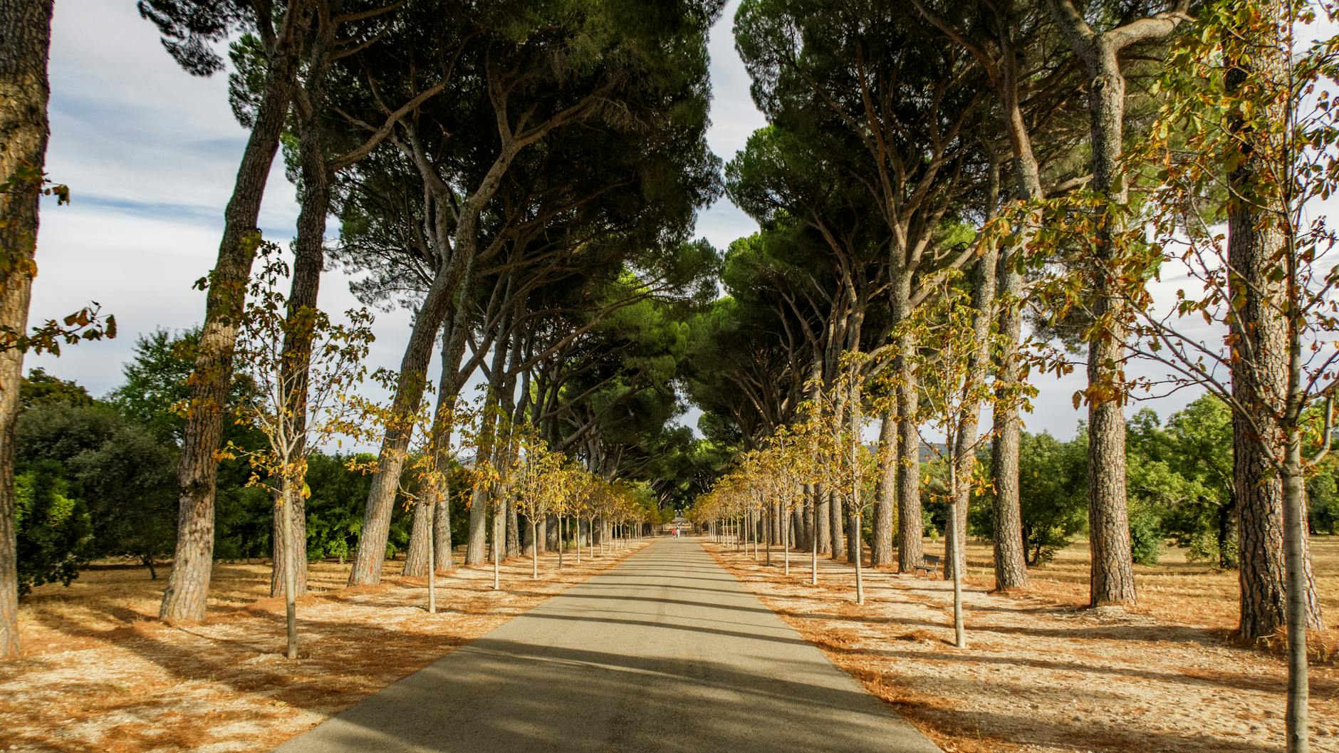 Casa de Campo park aerial view showing Madrid largest green space