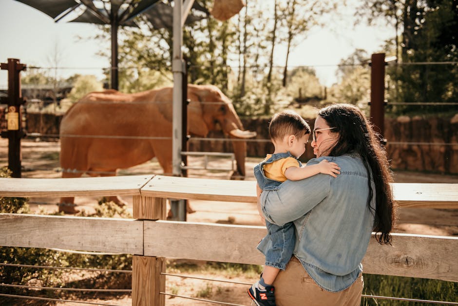 Family watching elephants at the zoo