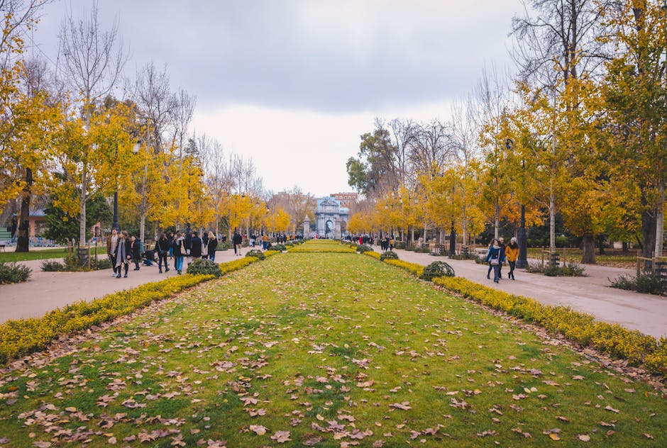 Retiro Park in Madrid autumn scene with free outdoor activities