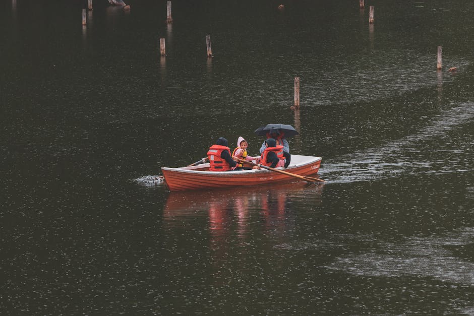 People rowing boats on a park lake