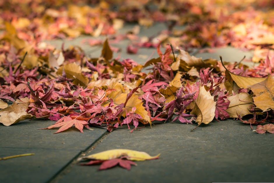 Cheapest Time to Visit Madrid: Best Months and Tips 2026 3 cheapest time to visit Madrid autumn