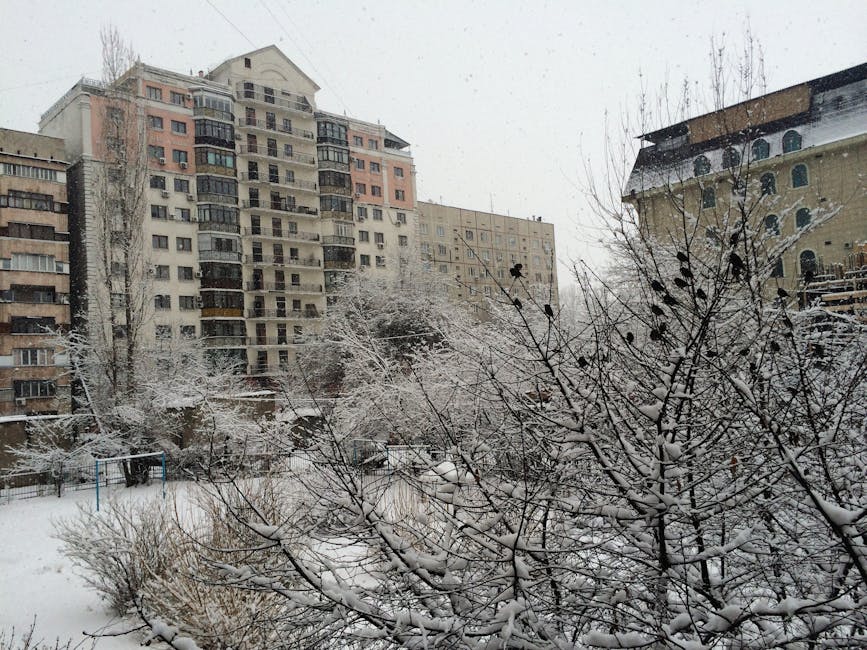 Cheapest Time to Visit Madrid: Best Months and Tips 2026 6 cheapest time to visit Madrid snow