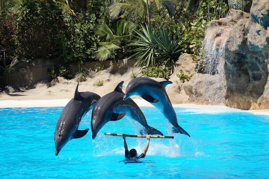 Madrid zoo aquarium kids dolphin