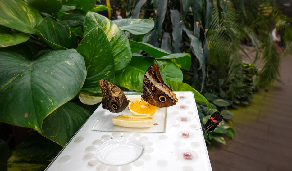Faunia Madrid wildlife jungle butterflies