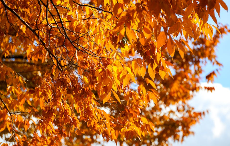 Best Time to Visit Madrid: Best Season Guide 2026 4 best time to visit Madrid autumn