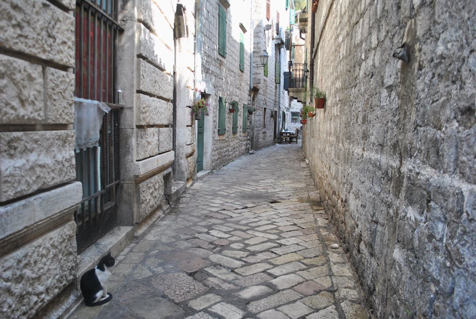 La Latina Madrid History: Best Medieval Quarter Guide 2026 5 La Latina Madrid history alley