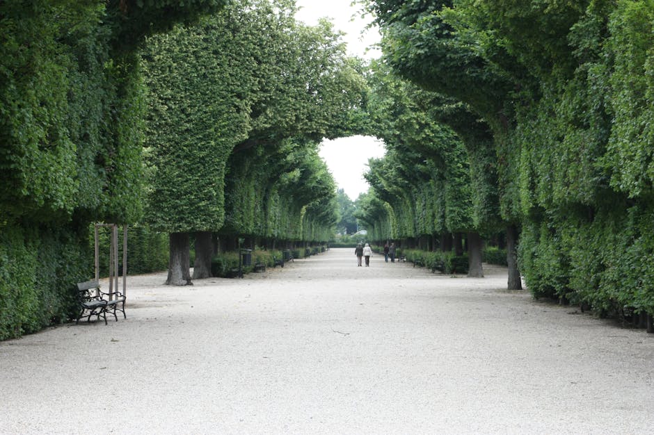 Retiro Park Madrid Complete Guide: Best 2026 UNESCO Site 5 Retiro Park Madrid complete guide gardens path