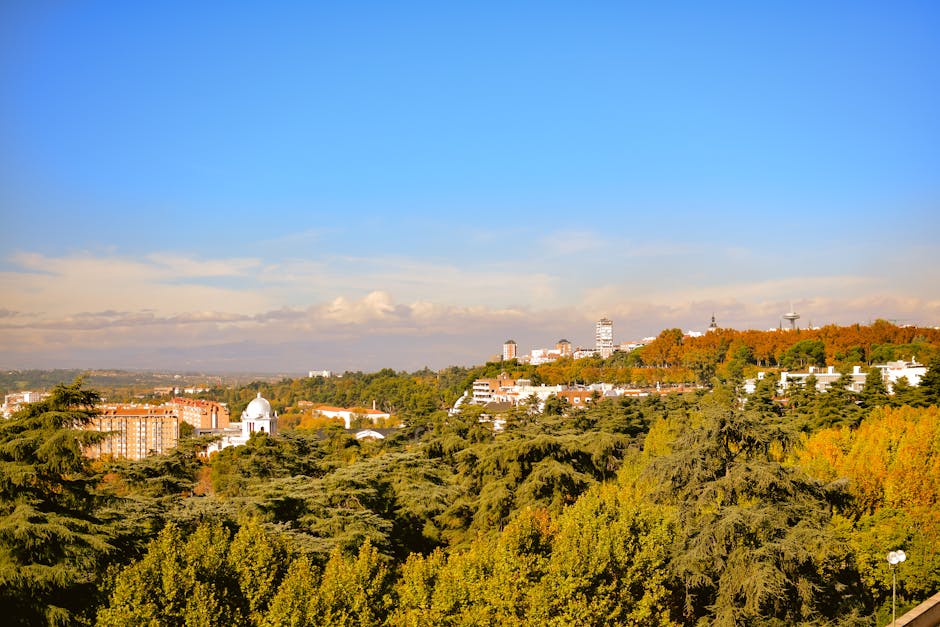 Casa de Campo Madrid urban forest