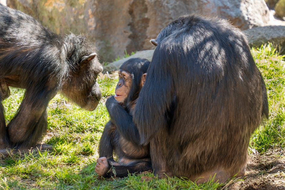 Casa de Campo Madrid: Best Urban Forest 2026 Park Guide 4 Casa de Campo Madrid zoo aquarium animals
