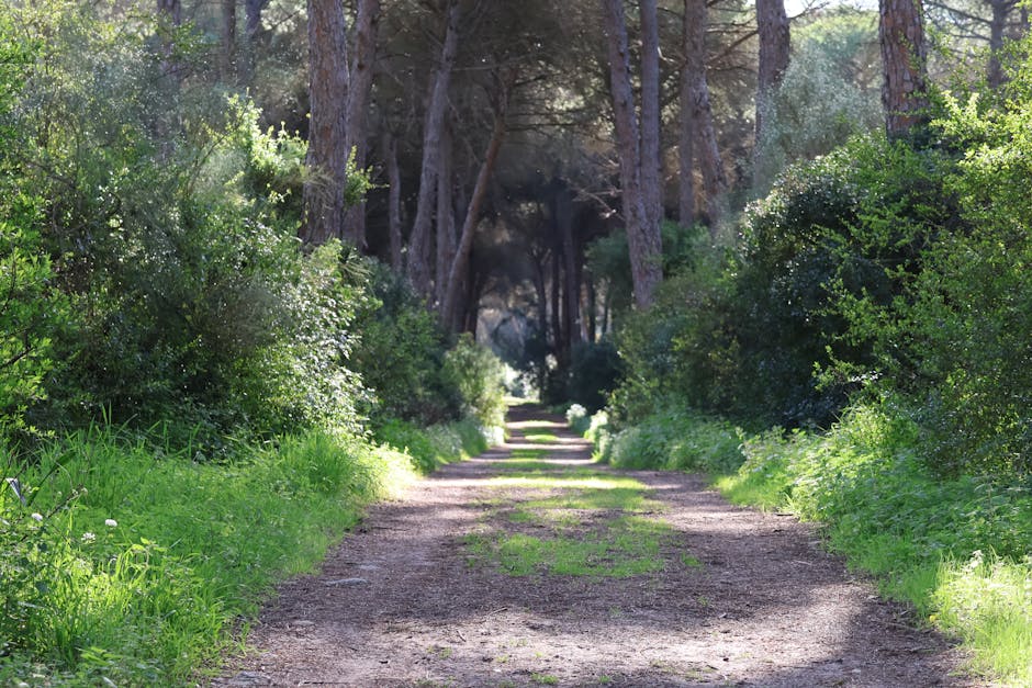 Madrid green belt hiking trails