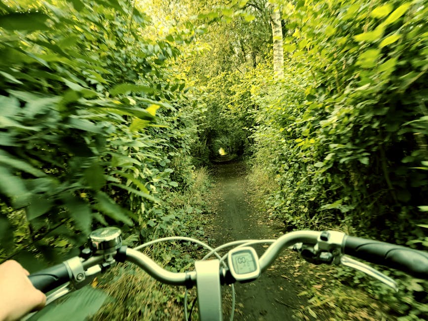 Madrid Green Belt Hiking: Best 2026 Anillo Verde Trails 3 Madrid green belt cycling routes nature