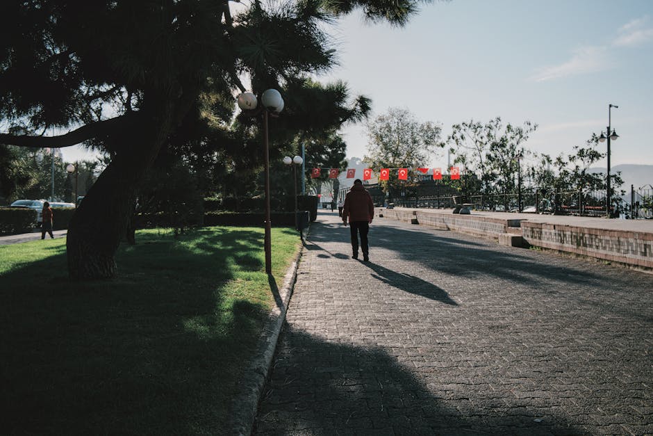 Retiro Park walking routes path