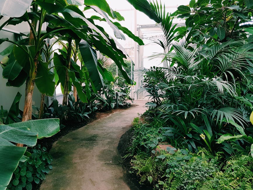 Botanical Garden Madrid: Best Real Jardín 2026 Guide 3 Botanical Garden Madrid greenhouse tropical