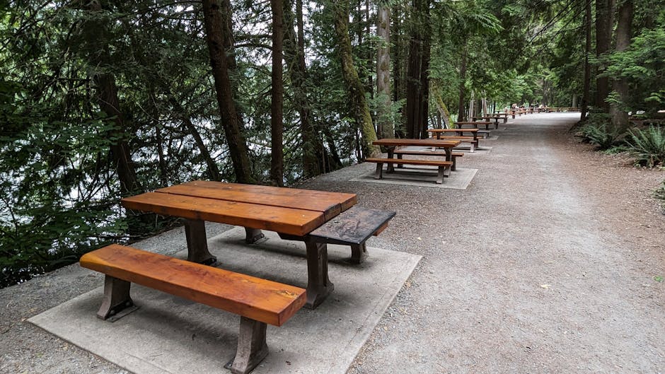Picnic Madrid Parks: Best 2026 Park Guide and Spanish Food 6 picnic Madrid parks tables families